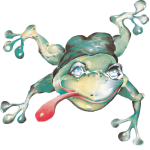 FroschFrei